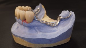 Shaunn’s Dental Lab