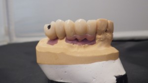 Shaunn’s Dental Lab