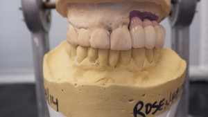 Shaunn’s Dental Lab