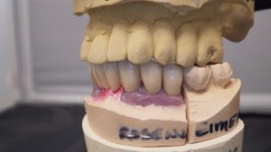 Shaunn’s Dental Lab