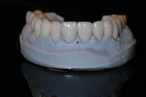Shaunn’s Dental Lab