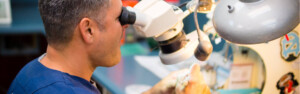Shaunn’s Dental Lab