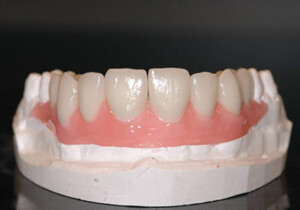 Shaunn’s Dental Lab