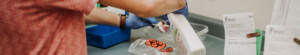 Shaunn’s Dental Lab
